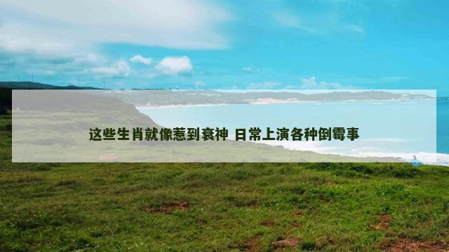 这些生肖就像惹到衰神 日常上演各种倒霉事