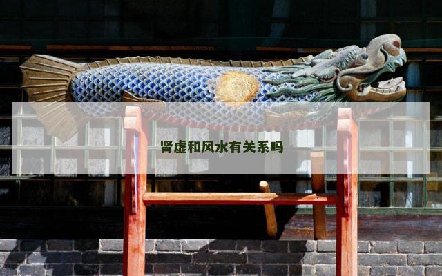 肾虚和风水有关系吗