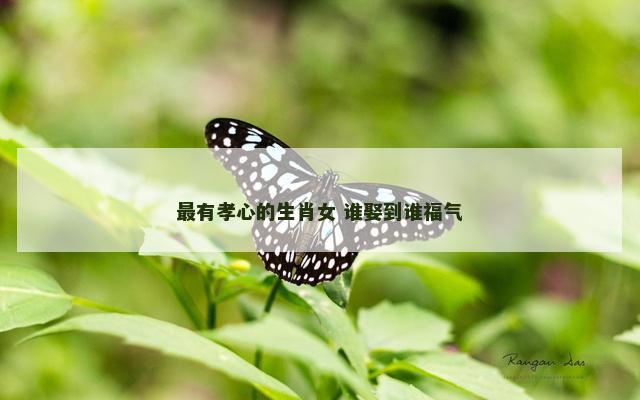 最有孝心的生肖女 谁娶到谁福气