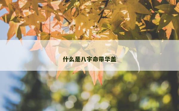什么是八字命带华盖