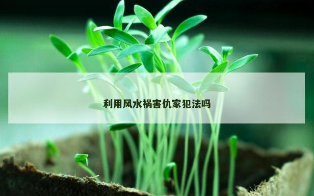 利用风水祸害仇家犯法吗