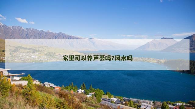 家里可以养芦荟吗?风水吗