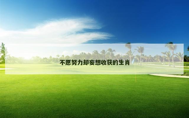 不愿努力却妄想收获的生肖