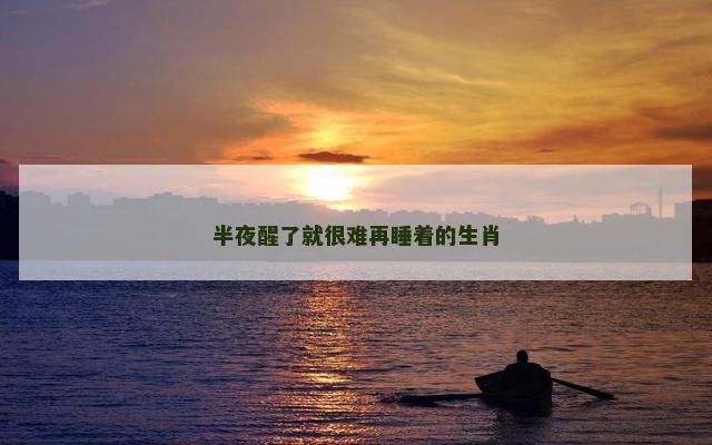 半夜醒了就很难再睡着的生肖