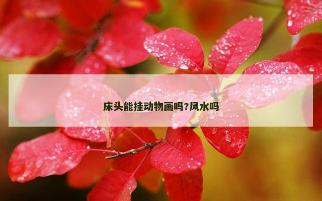 床头能挂动物画吗?风水吗