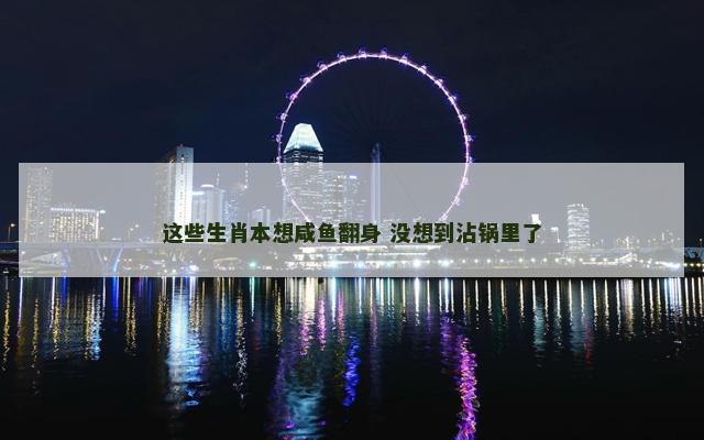 这些生肖本想咸鱼翻身 没想到沾锅里了