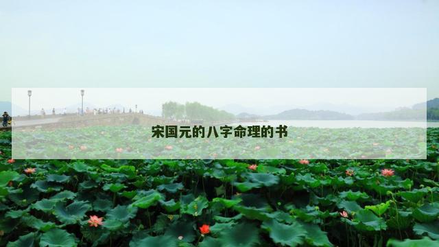 宋国元的八字命理的书