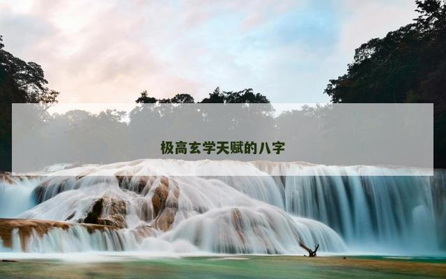 极高玄学天赋的八字