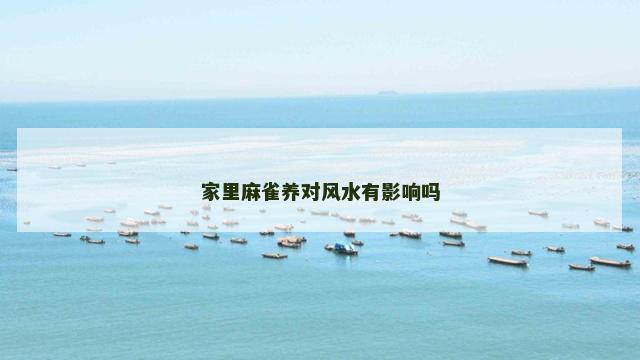 家里麻雀养对风水有影响吗