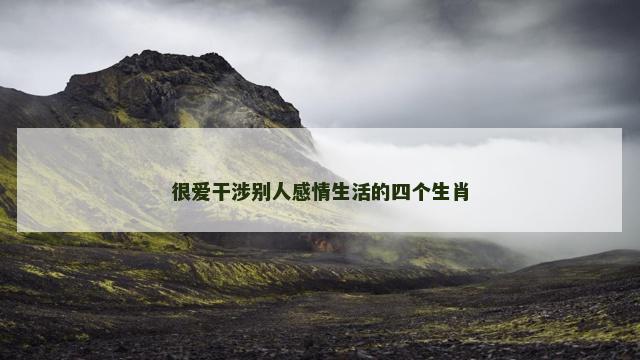 很爱干涉别人感情生活的四个生肖