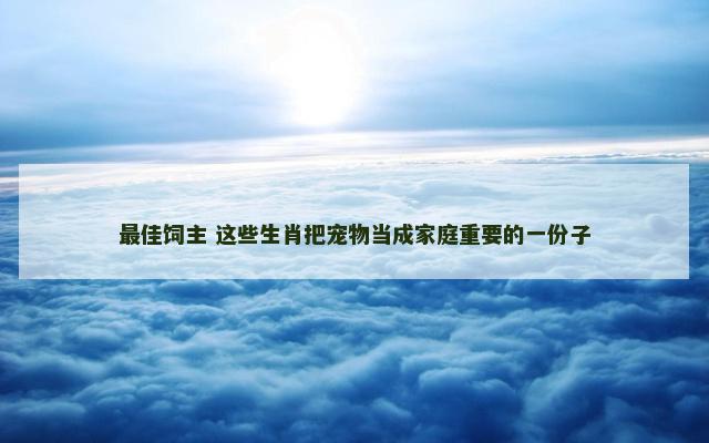最佳饲主 这些生肖把宠物当成家庭重要的一份子