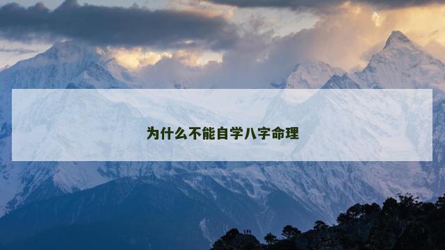 为什么不能自学八字命理