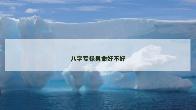 八字专禄男命好不好