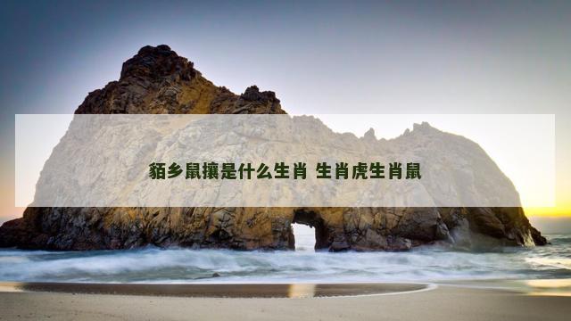 貊乡鼠攘是什么生肖 生肖虎生肖鼠