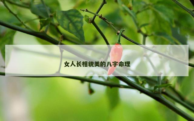 女人长相貌美的八字命理