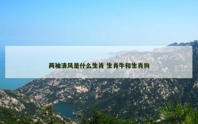 两袖清风是什么生肖 生肖牛和生肖狗