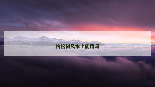 柏松树风水上能用吗