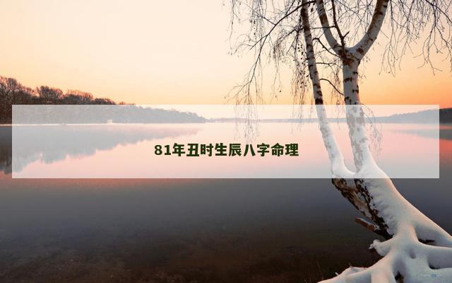 81年丑时生辰八字命理