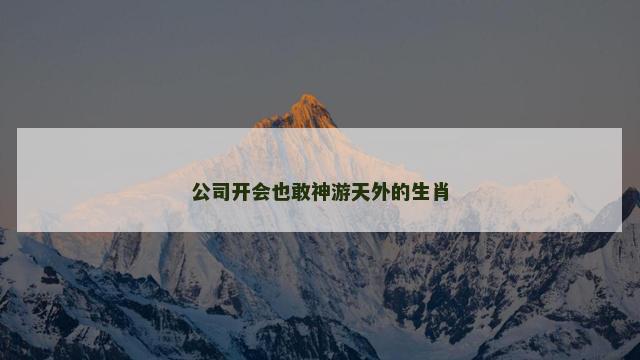 公司开会也敢神游天外的生肖