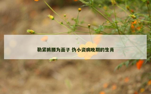 勒紧裤腰为面子 伪小资病晚期的生肖