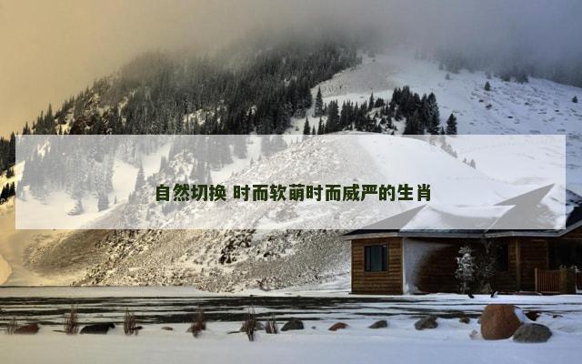 自然切换 时而软萌时而威严的生肖