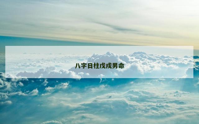 八字日柱戊戍男命