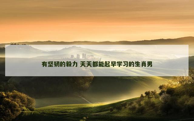 有坚韧的毅力 天天都能起早学习的生肖男