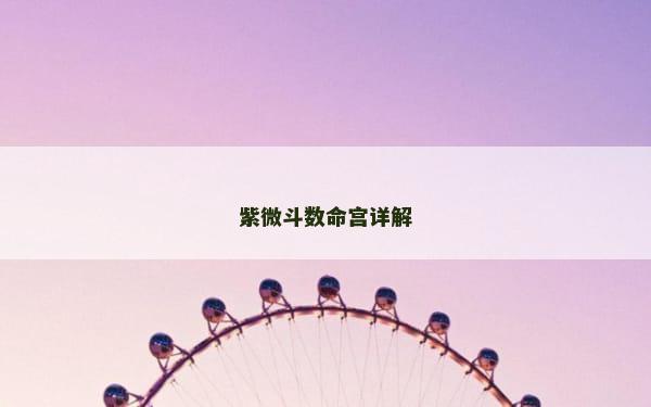 紫微斗数命宫详解