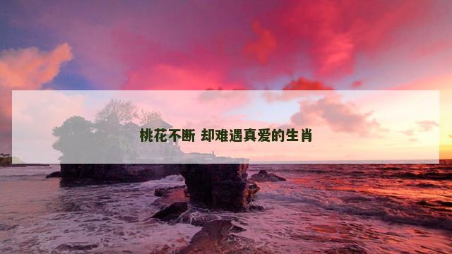 桃花不断 却难遇真爱的生肖