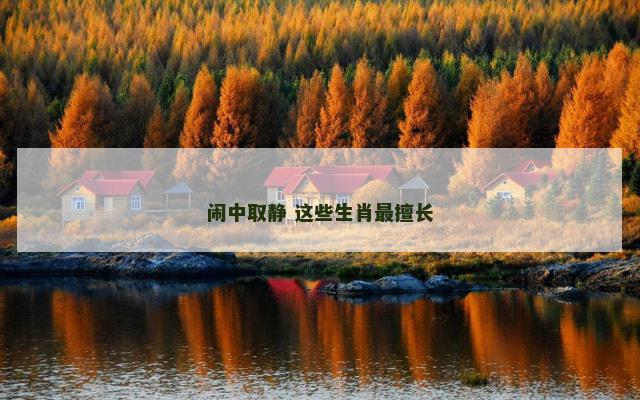 闹中取静 这些生肖最擅长