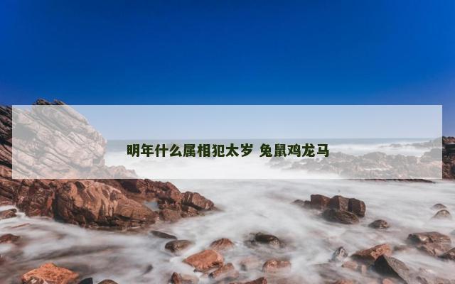 明年什么属相犯太岁 兔鼠鸡龙马