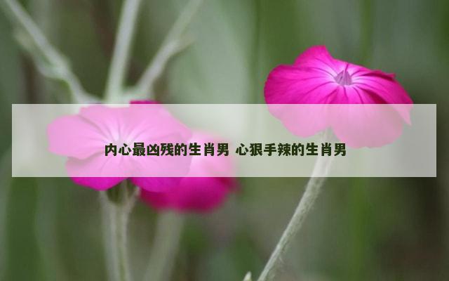 内心最凶残的生肖男 心狠手辣的生肖男