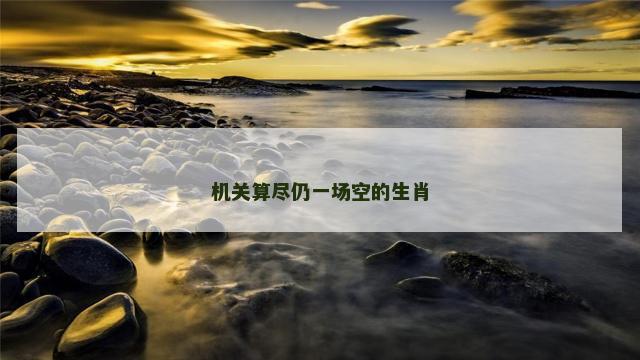 机关算尽仍一场空的生肖