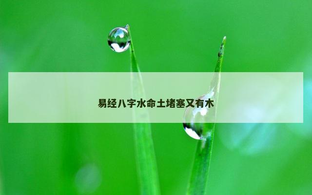 易经八字水命土堵塞又有木