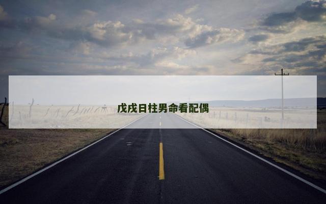戊戌日柱男命看配偶