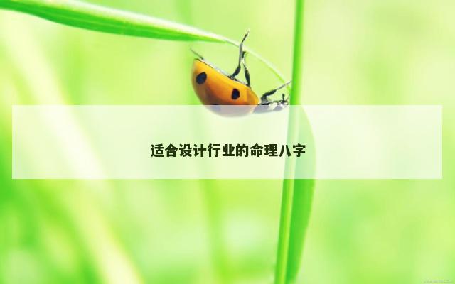 适合设计行业的命理八字