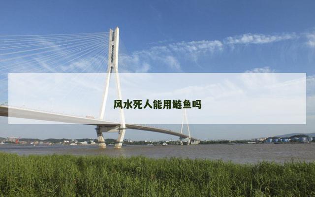 风水死人能用鲢鱼吗