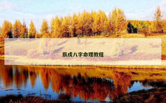 辰戍八字命理教程