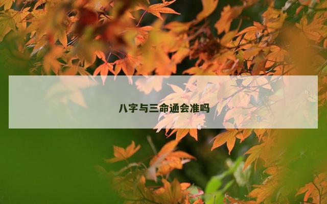 八字与三命通会准吗