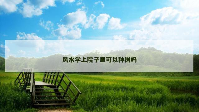 风水学上院子里可以种树吗