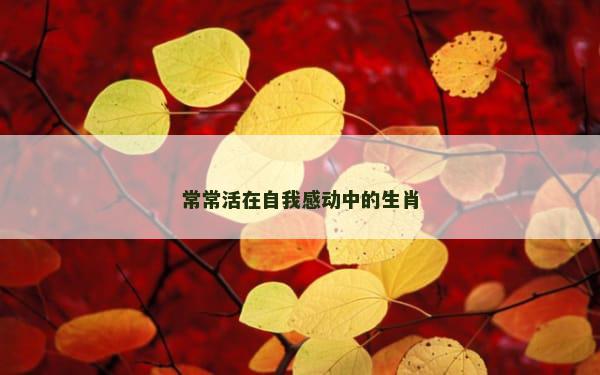 常常活在自我感动中的生肖