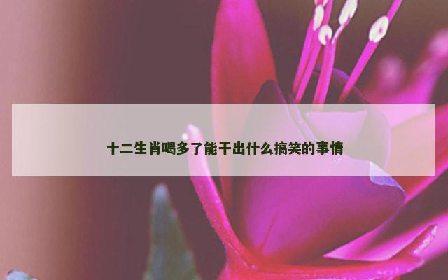 十二生肖喝多了能干出什么搞笑的事情