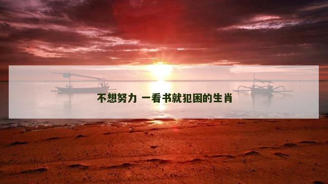 不想努力 一看书就犯困的生肖