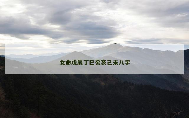 女命戊辰丁巳癸亥己未八字