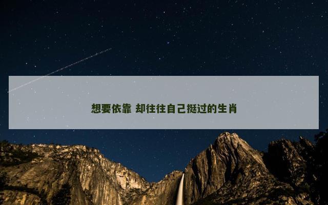 想要依靠 却往往自己挺过的生肖