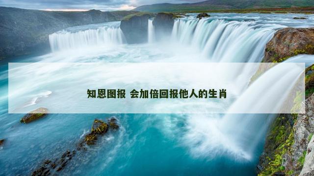 知恩图报 会加倍回报他人的生肖