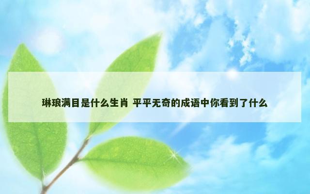 琳琅满目是什么生肖 平平无奇的成语中你看到了什么