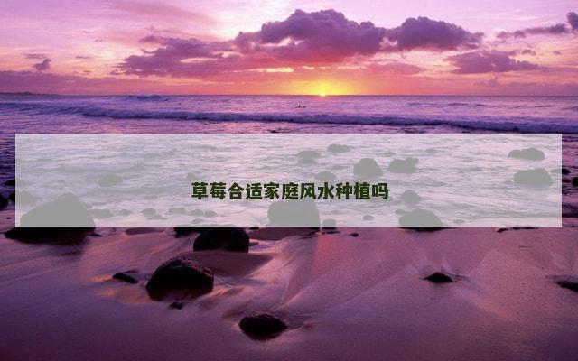 草莓合适家庭风水种植吗