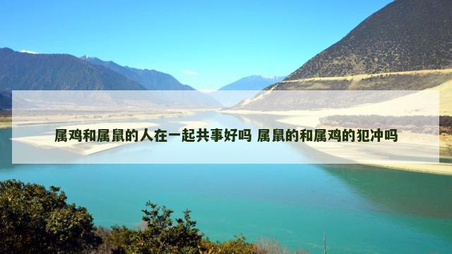 属鸡和属鼠的人在一起共事好吗 属鼠的和属鸡的犯冲吗