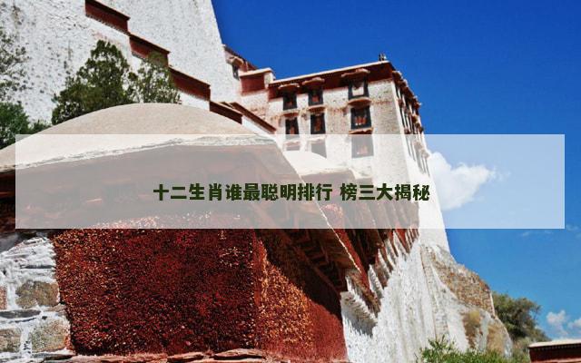 十二生肖谁最聪明排行 榜三大揭秘